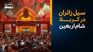 لبیک به امام حسین: سیل زائران در شام اربعین 1405 در کربلا | گزارش زنده از بین الحرمین