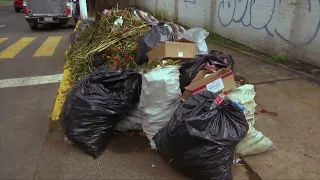 Reportan baja recuperación de residuos sólidos en basura