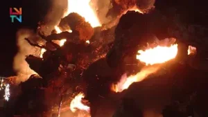 Maior Madeiro de Portugal - Penamacor