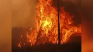 GIRONDE WILDFIRES: FIREFIGHTERS FROM THE 44 DEPLOYED AS REINFORCEMENTS