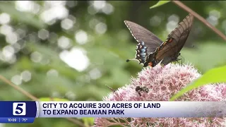Nashville to acquire forestland to preserve city's green spaces