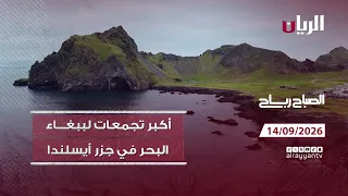 برنامج الصباح رباح - 14-09-2026
