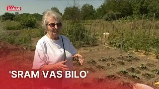 Lopovi im kradu voće i povrće: 'Susjed mi je poslao poruku da iz vrta izlazi žena' | RTL Danas