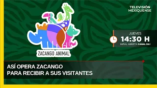 How Zacango Operates to Welcome Its Visitors | Zacango Animal | 07/30/2026