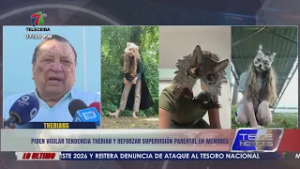 Piden vigilar tendencia ''Therian'' y reforzar supervisión parental en menores en Honduras
