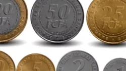 CEMAC COIN WITHDRAWAL: WHAT IT MEANS FOR CAMEROON'S ECONOMY