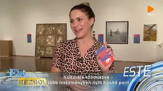 Kultúrára szomjazva – több intézményben nyílt hűsítő pont