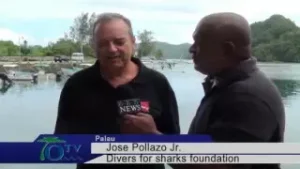 International Dive Industries Launch Call For Action In Palau