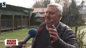 Зевзекманија  Мераклија “прва лига