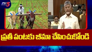 ప్రకృతి సేద్యమే రైతులకు శ్రీరామరక్ష..CM Chandrababu Suggestion To Farmers On Crop Insurance | TV5