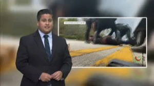 Immigration Decoded: Use Of Force By Federal Agents