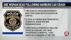 1 dead after crash in Hamburg