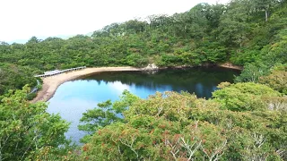 「まさに桃源郷」木々に囲まれ静かに水をたたえる夜叉ヶ池　落差10メートルの滝や樹齢400年の巨木に出合い山頂を目指す　片道2時間半の「小旅」 （2026年9月3日放送）