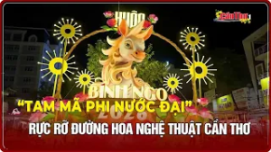 “Tam mã phi nước đại” rực rỡ đường hoa nghệ thuật Cần Thơ | CT-TDT