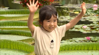 08/16/2026 Riding on a Giant Water Lily Leaf