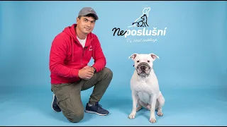 Z milého psíka agresor? Záhada menom Woody dostáva kouča do kolien | Neposlušní 🐾