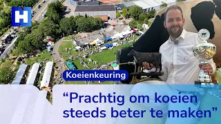 Farmer Maarten’s cows steal the show at the Opmeer Agricultural Fair