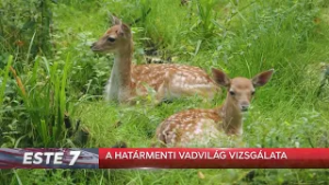 A határmenti vadvilágot vizsgálja az egyetem új monitoring központja