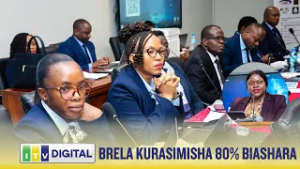 BRELA YATAKIWA KURASIMISHA 80% YA BIASHARA