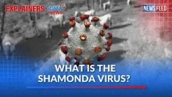 What is the Shamonda virus? | GMA News Feed