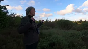 Naturen på Landkortet Christina og Tranum