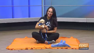 Pets on Parade (full episode) September 12, 2026