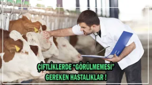 Çiftliklerde "Görülmemesi" Gereken Hastalıklar !