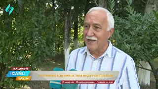 Balakəndəki Tülü məbədi açıq səma altında muzeyə çevrilə bilər | Canlı Yayım