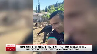 Ο Μπάμπης το κοράκι που έγινε star των social media και έκλεψε τις καρδιές χιλιάδων ακολούθων