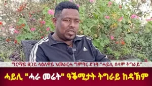 DW International  ዓደይ ከድሕን እየ መፂአ - ግርማይ ፀጋይ