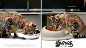 Миска для кошек Su-purr от JML