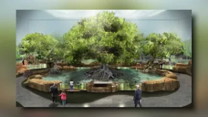 Stingrays scheduled to make 2027 return at Memphis Zoo