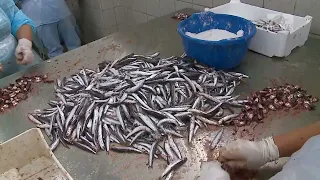 Top News - Kafja, limoni e perimet u shtrenjtuan/ Rritje mbi mesateren edhe për produktet e tjera
