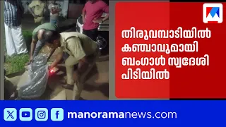 Bengal native arrested with ganja in Thiruvambady | Kozhikode | Operation Thunder