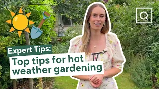Summer Gardening Tips to Keep Plants Thriving in Hot Weather | Watering, Feeding & Deadheading