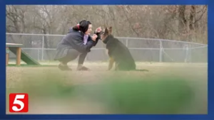 Hendersonville installs pet microchip scanner at Memorial Park