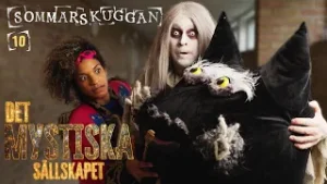 Sommarskuggan 10: Det mystiska sällskapet