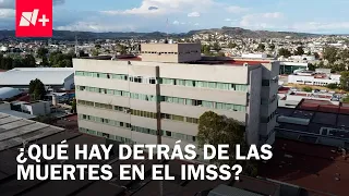FGR investigates baby deaths from bacteria at IMSS Durango as homicide