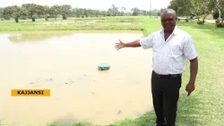 Uganda Turns to Science to Boost Fish Farming and Target 1 Million Tonnes by 2030