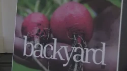 City of Albuquerque launches Backyard Harvest Share supporting local food pantries