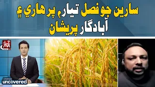 Rice Crop Ready, But Farmers Remain Worried | Awaz Uncovered