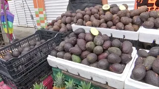 International Avocado Day