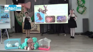 Удивительное в мире животных лицей Д.Кантемира -Бельцы   27 02 26