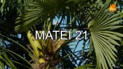 Bible Reading - Matthew 21