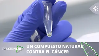 Conciencia| Un compuesto natural contra el cáncer