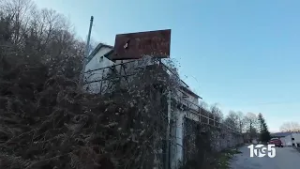 Padula Carabinieri Fermano Rave Party Ex Polveriera Mandranello 24feb