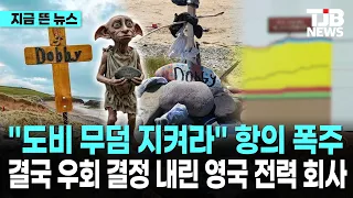 "Protect Dobby’s Grave" Protests Pour In... UK Power Company Finally Decides to Reroute｜ TJB Daej...