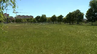 A szavazatok alapján lesz fűnyírás