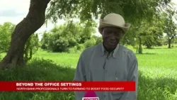 PROFESSIONALS TURN TO FARMING TO BOOST FOOD SECURITY DRIVE