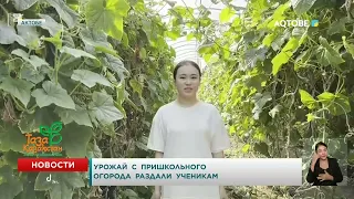 School Garden Harvest Distributed to Students